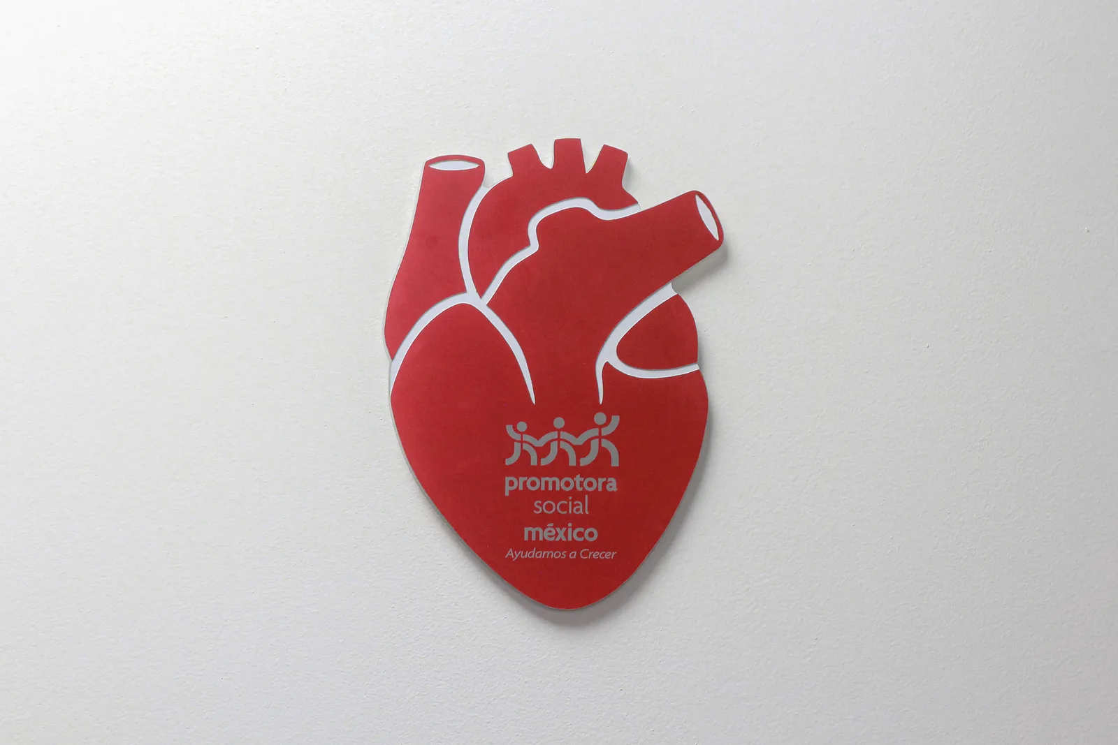 PSM_develaciónPlaca_CM-ABC_-162